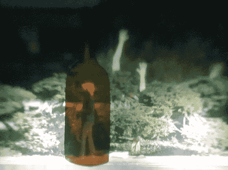 vue depuis l'écran de la Boîte à Rêves avec des essais de superposition