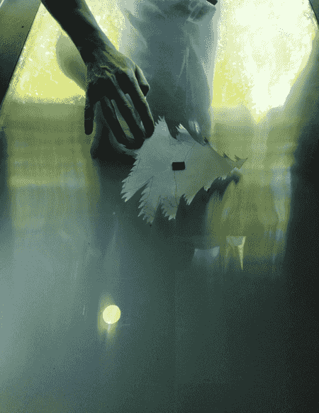 chablon en forme de sapin appliqué sur l'écran de la Boîte à Rêves pour cacher le palmier